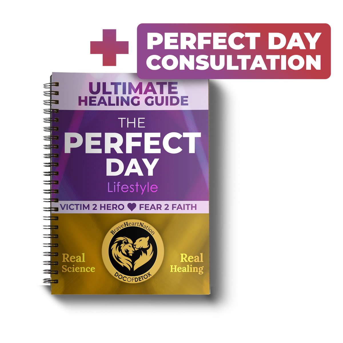 Ultimate Healing Guide The Perfect Day Lifestyle Printed Doc Of